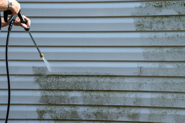 Best Basement Cleanout  in Riverdale, NJ